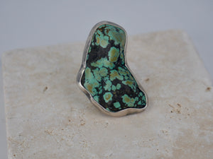 Nomad Painted Saguaro Ring
