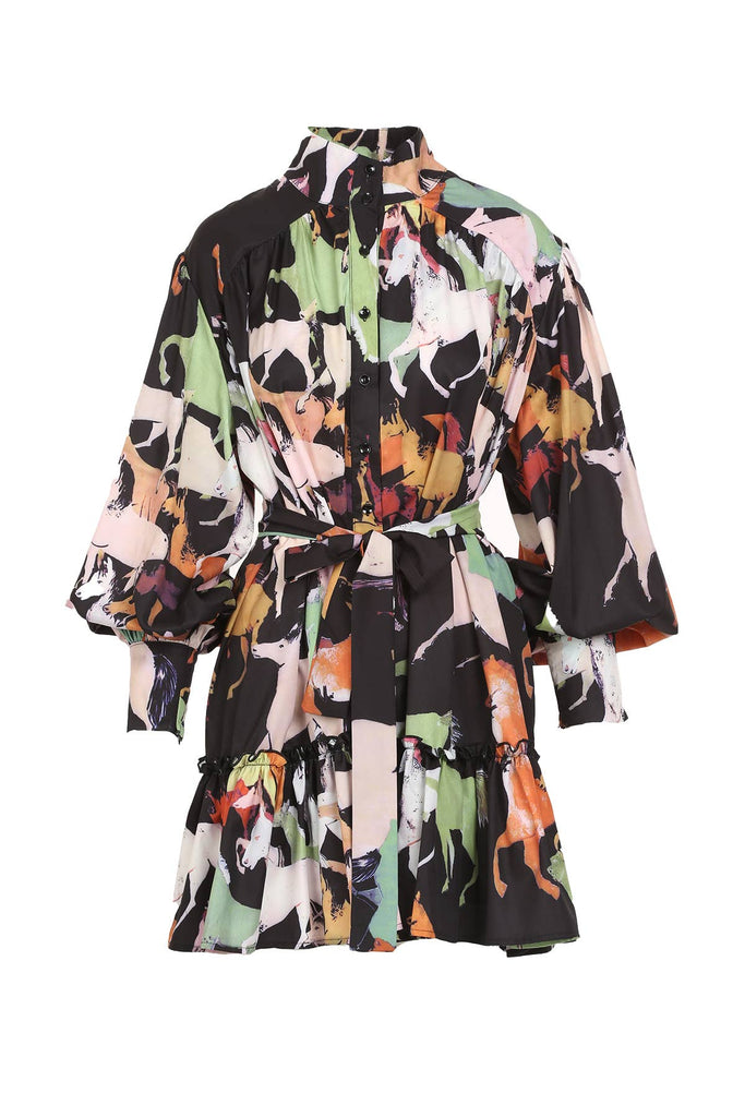 Multi Color Animal Printed Mini Shirt Dress