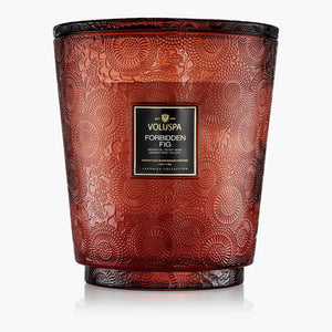 Forbidden Fig 5W Hearth Candle